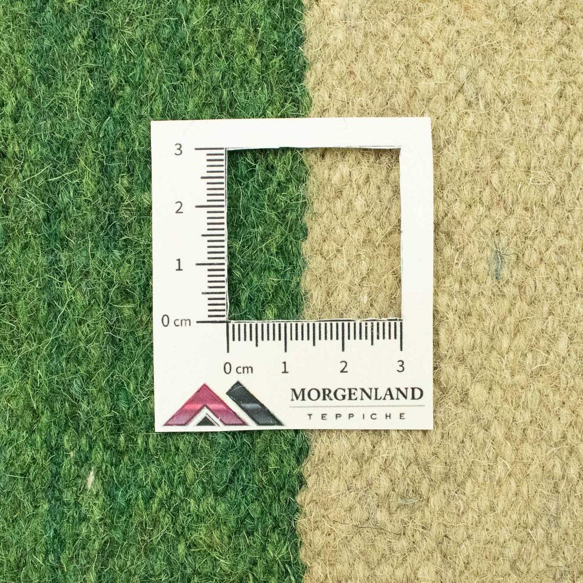 Kelim Rug - Trendy - 300 x 200 cm - beige