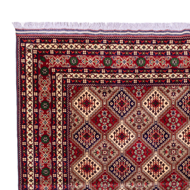 Afghan Rug - 382 x 290 cm - dark beige