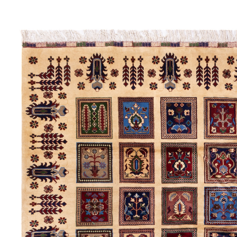 Afghan Rug - 340 x 250 cm - multicolored