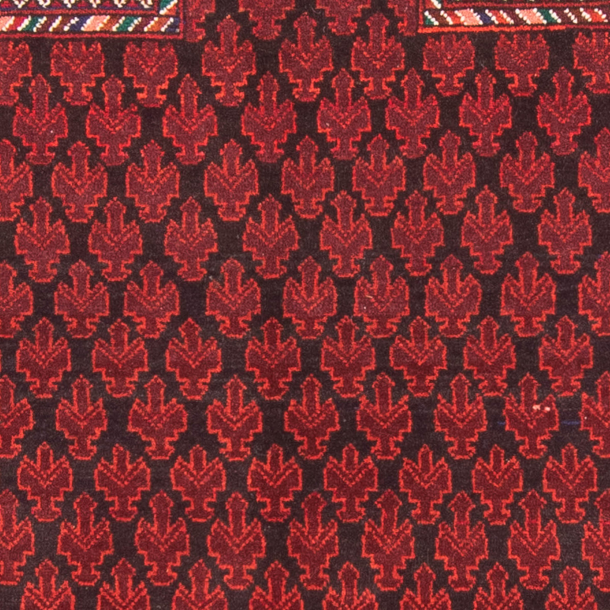 Belutsch Rug - Prayer Rug - 155 x 103 cm - red