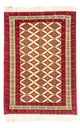 Turkaman Rug 167x120cm - Oriental Rug