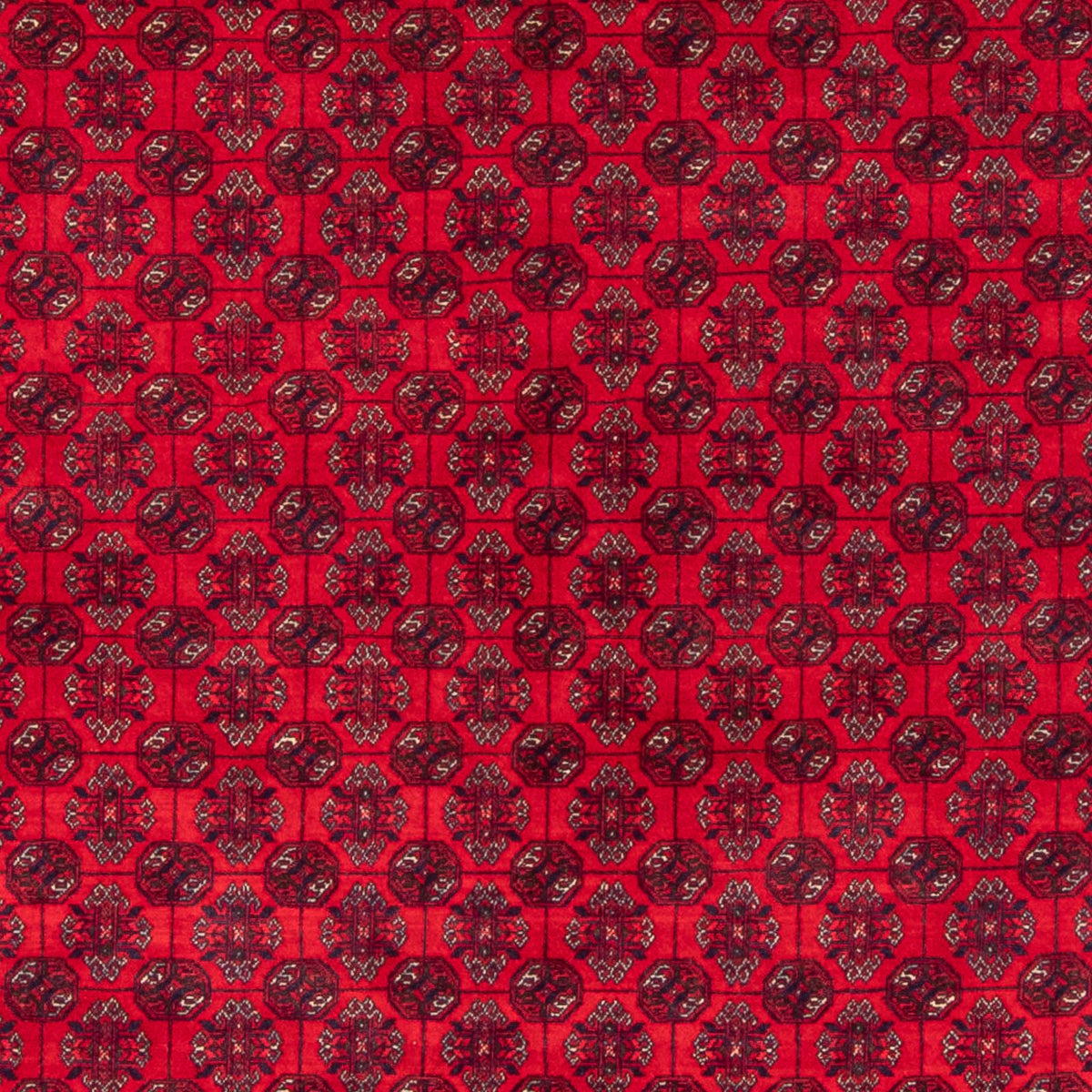 Afghan Rug - Bukhara - 290 x 196 cm - red