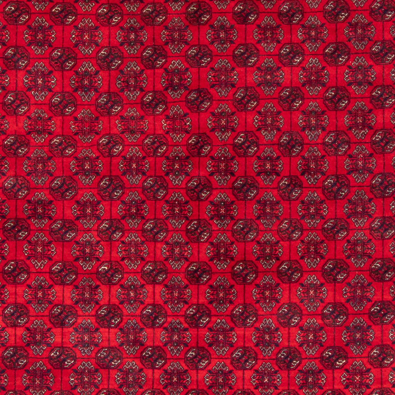 Afghan Rug - Bukhara - 290 x 196 cm - red