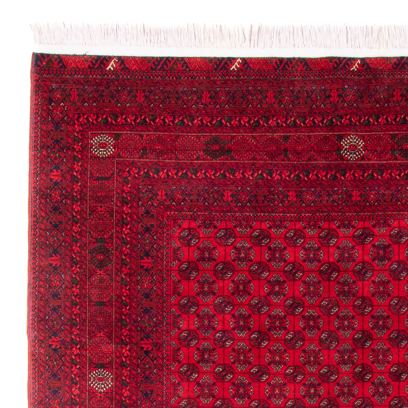 Bukhara Rug 290x196cm - Oriental Rug