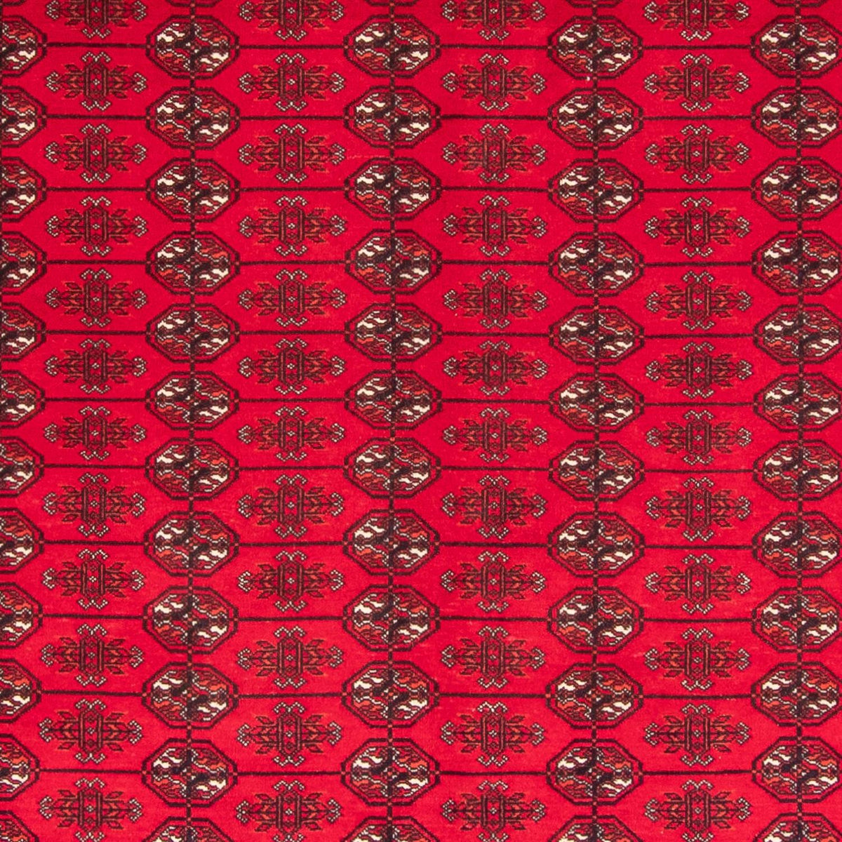 Afghan Rug - Bukhara - 282 x 200 cm - red