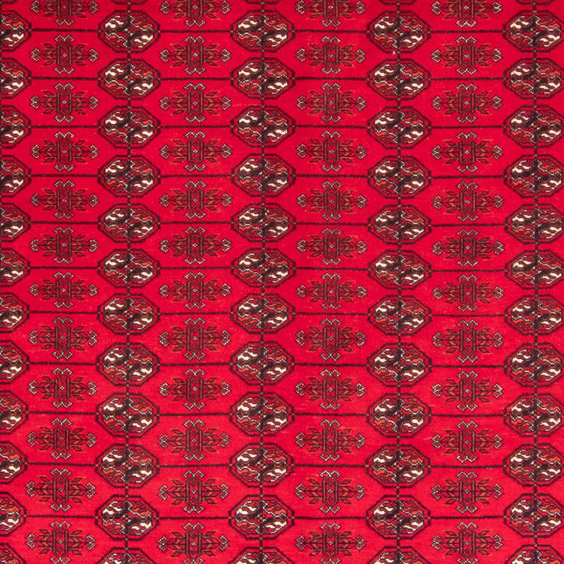 Afghan Rug - Bukhara - 282 x 200 cm - red