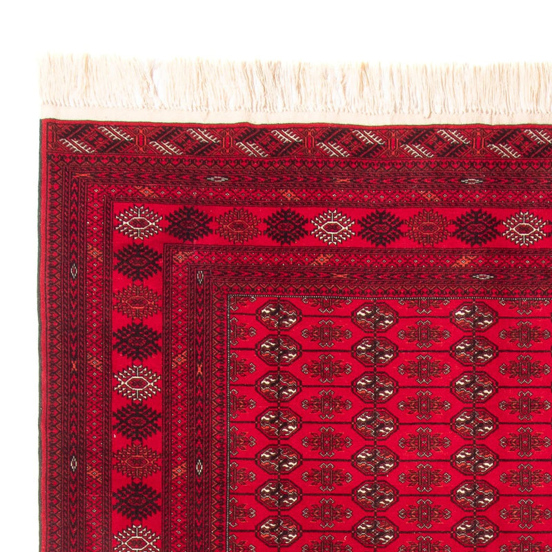 Afghan Rug - Bukhara - 282 x 200 cm - red