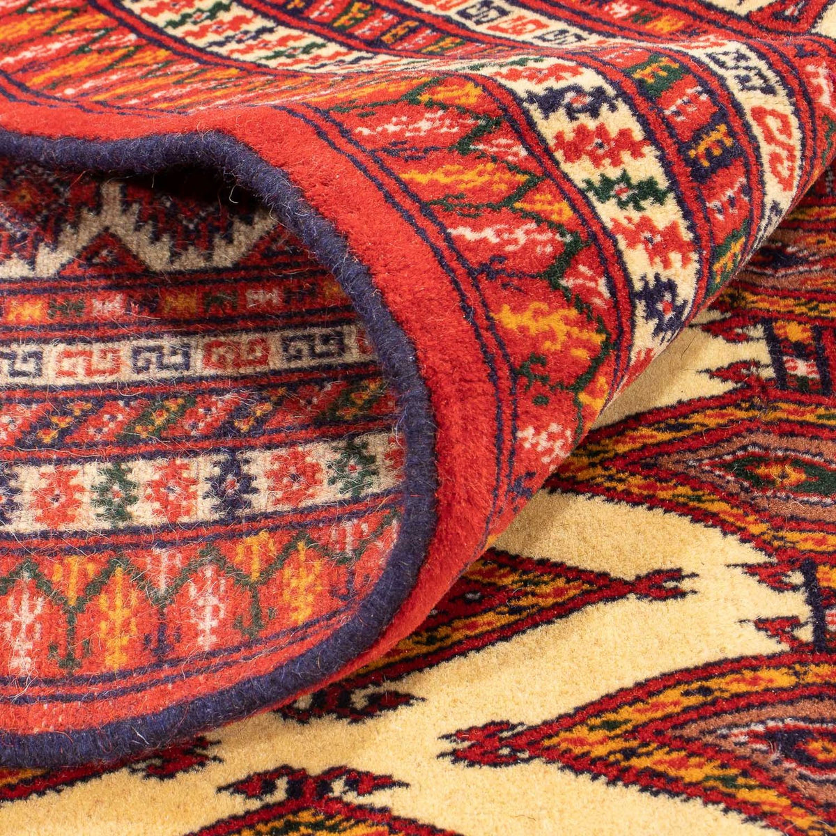 Turkaman Rug - 305 x 206 cm - beige