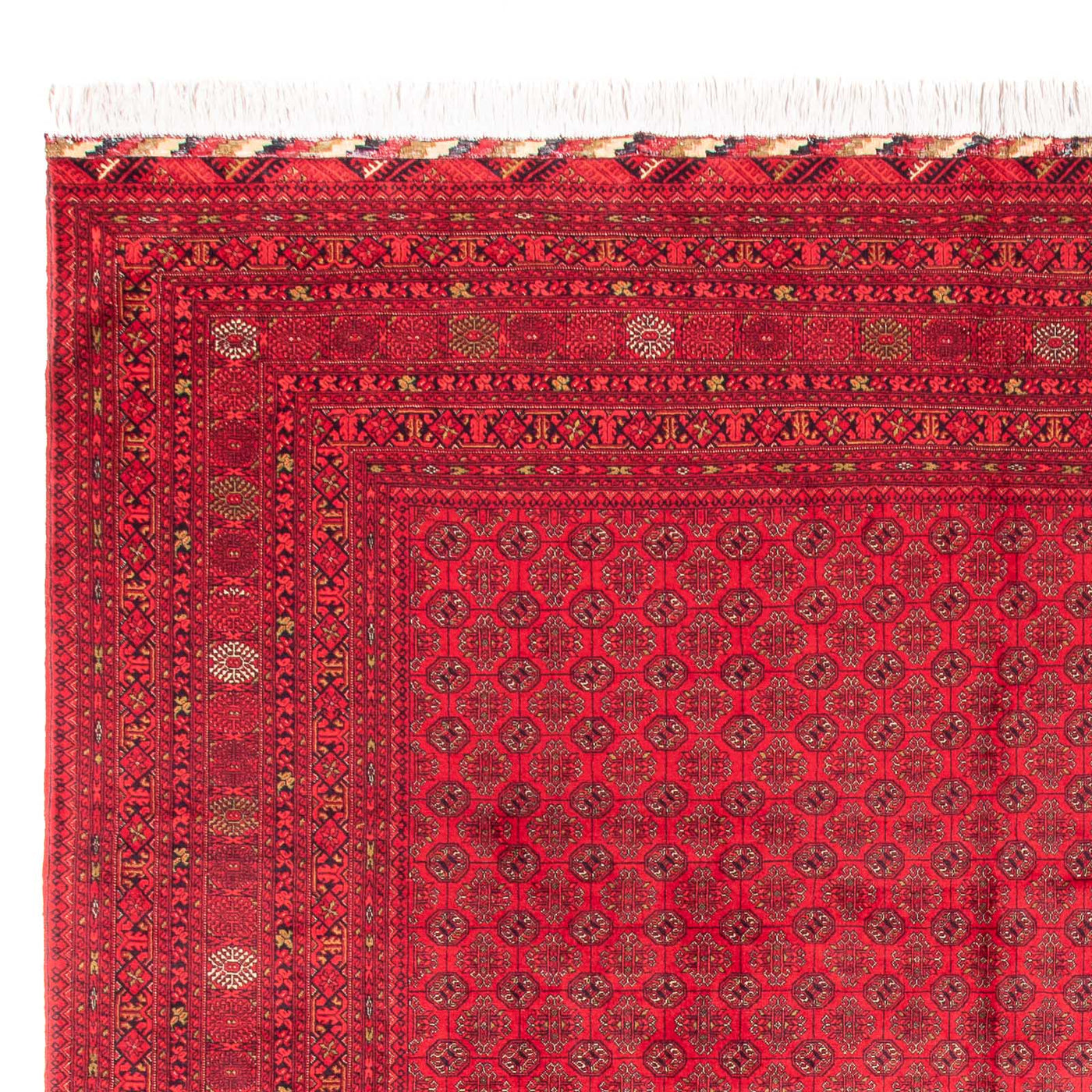 Bukhara Rug 385x300cm - Oriental Rug