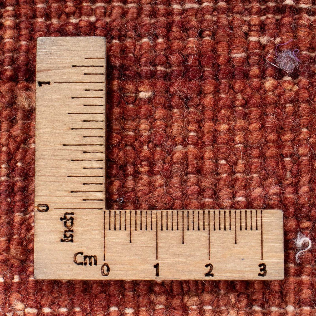 Ziegler Rug - Modern square  - 215 x 197 cm - blue