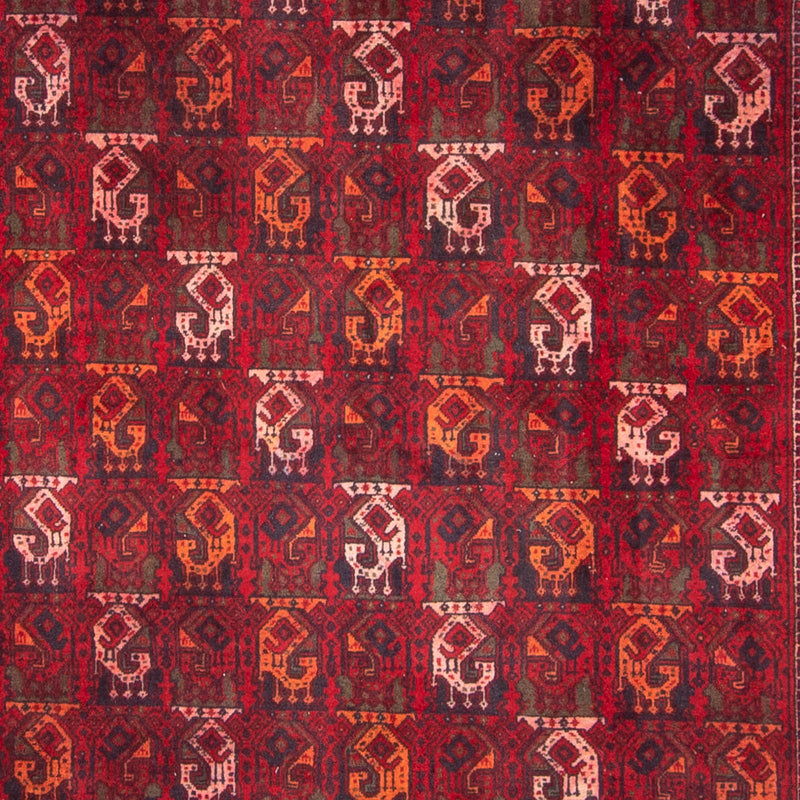 Afghan Rug - 293 x 202 cm - red