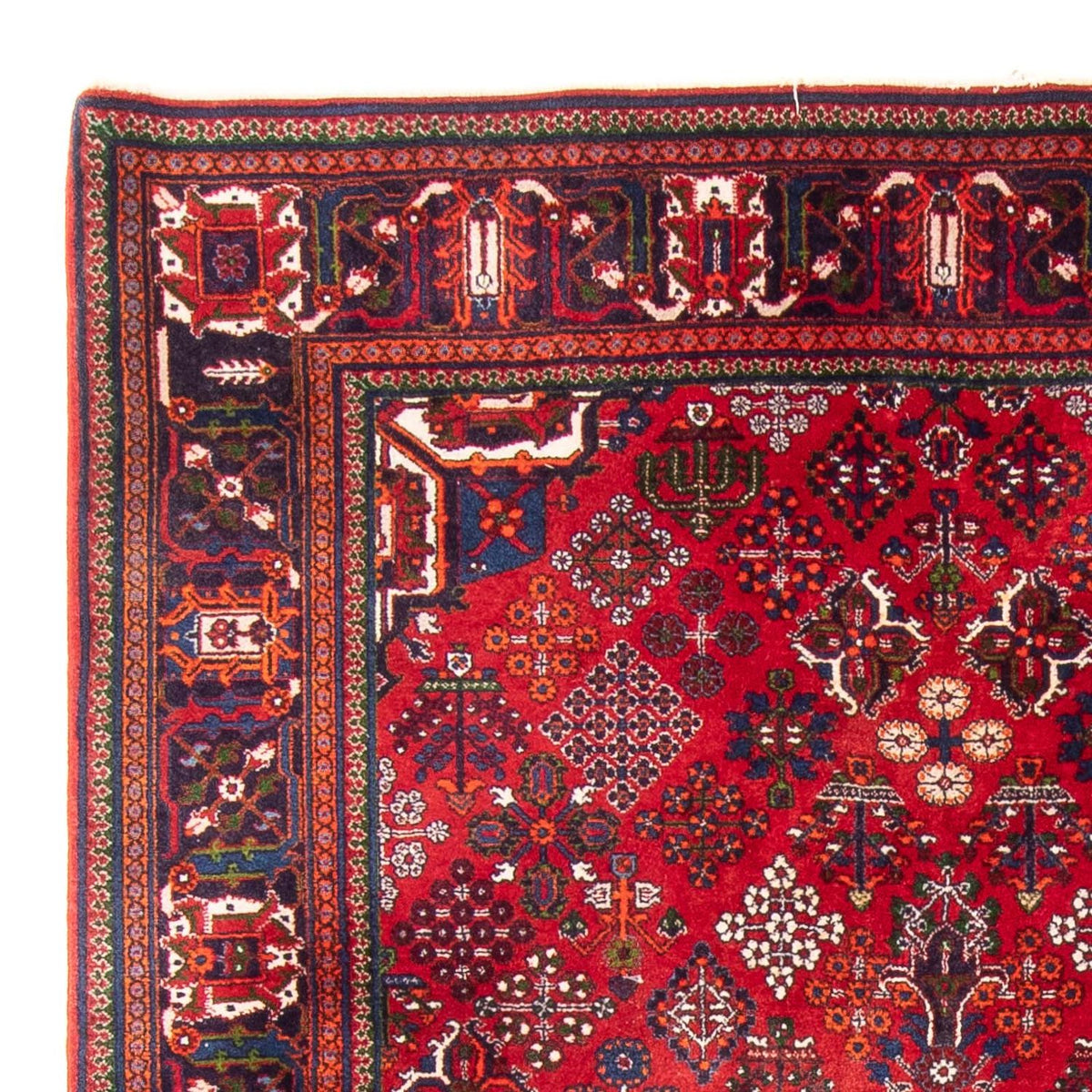 Perser Rug - Nomadic - 280 x 168 cm - red