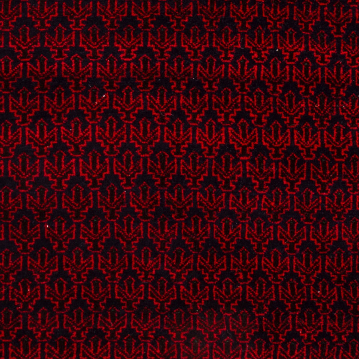 Belutsch Rug - 148 x 96 cm - red