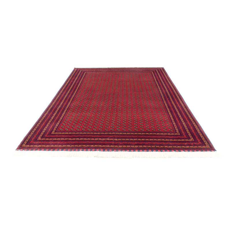 Afghan Rug - 294 x 194 cm - red