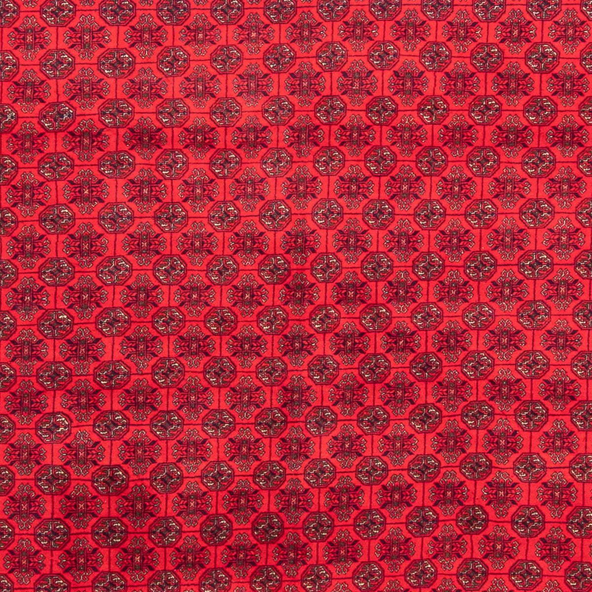 Afghan Rug - 289 x 200 cm - red
