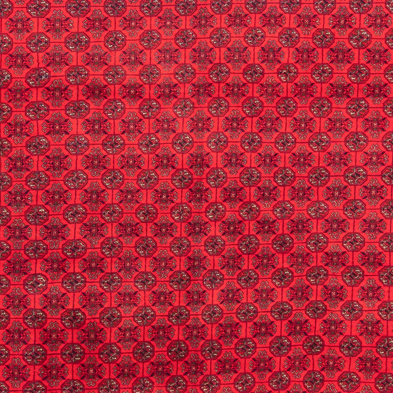 Afghan Rug - 289 x 200 cm - red