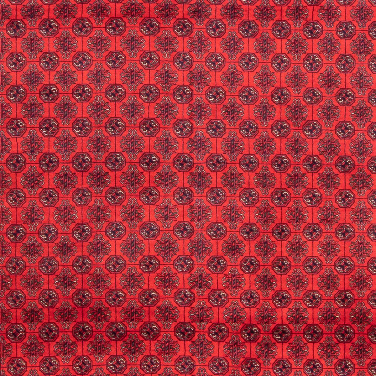 Afghan Rug - 387 x 298 cm - red