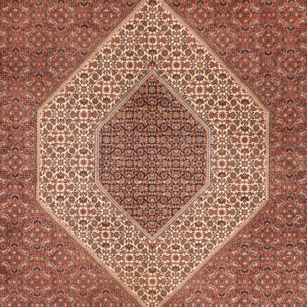 Perser Rug - Bidjar - 300 x 255 cm - rust