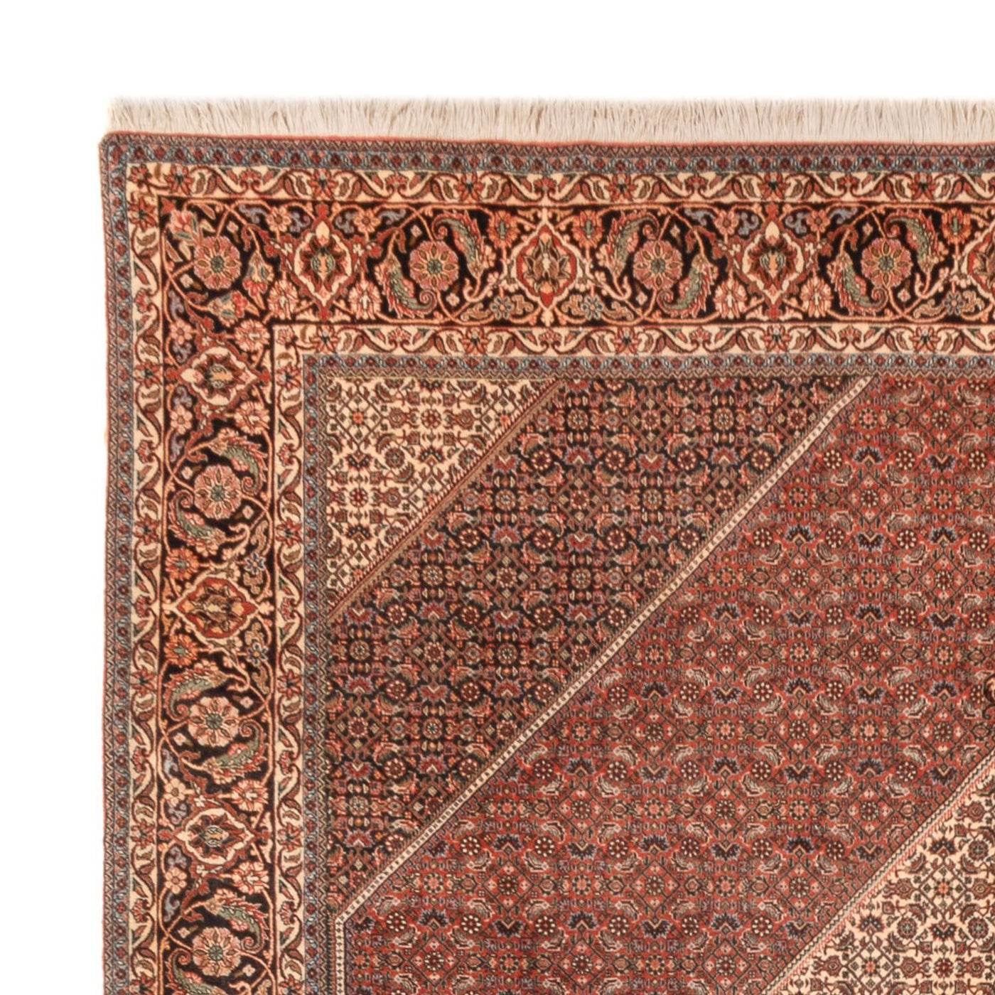 Bidjar - Bukan Rug 300x255cm - Persian Rugs
