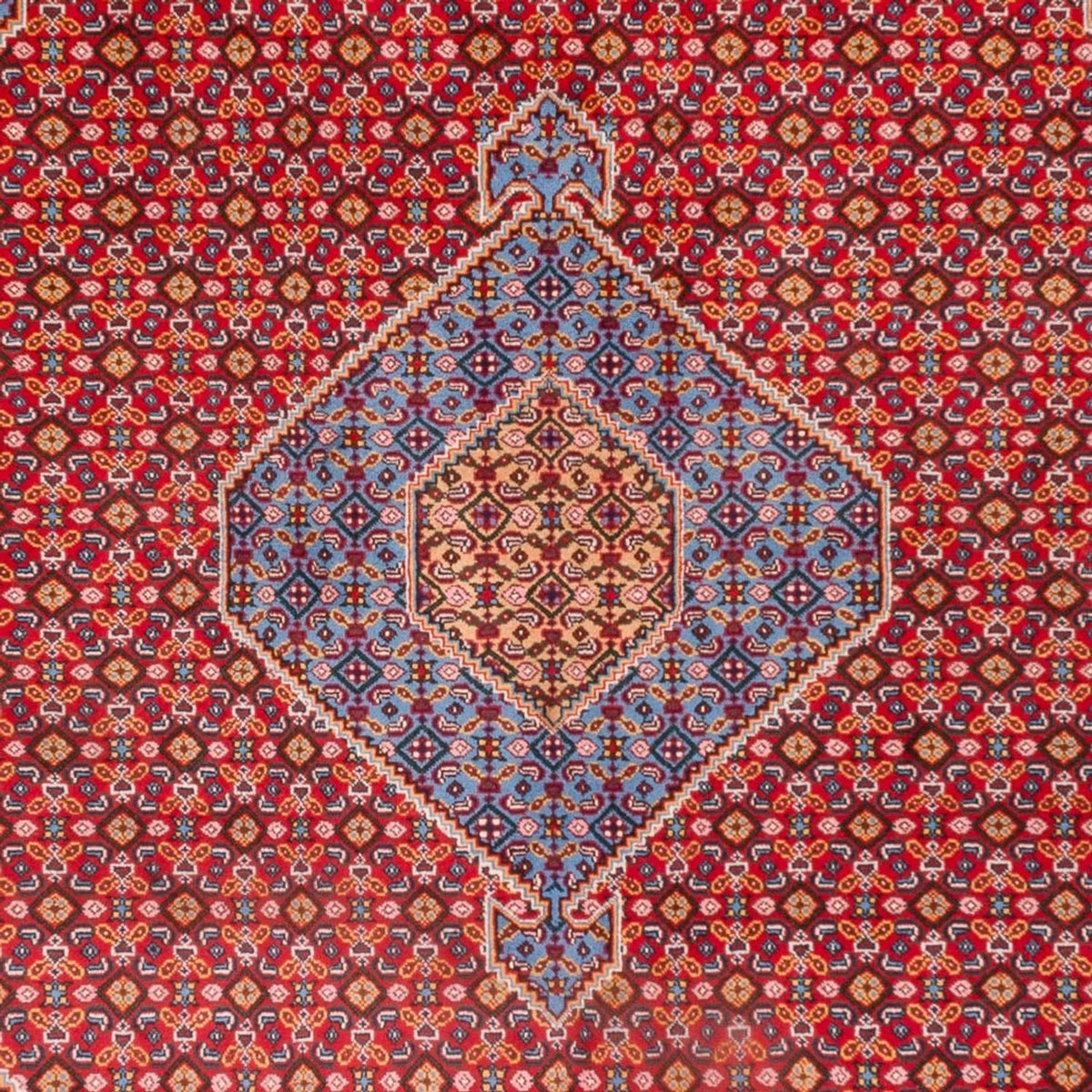 Perser Rug - Nomadic - 300 x 205 cm - red