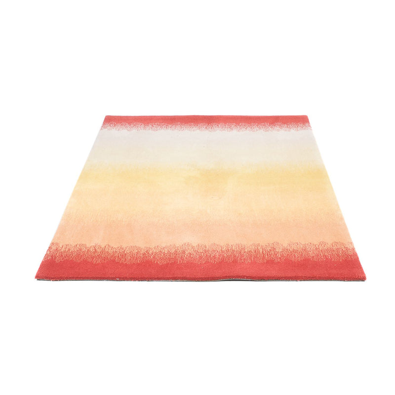 Wool Rug - 170 x 115 cm - multicolored