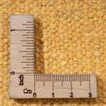 Kelim Rug - Trendy - 200 x 140 cm - multicolored