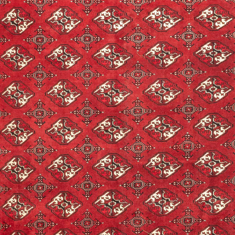 Turkaman Rug - 391 x 270 cm - red