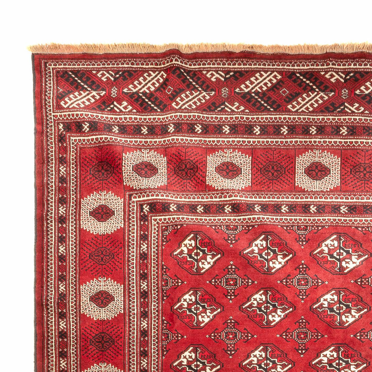 Turkaman Rug 270x391cm - Persian Rugs