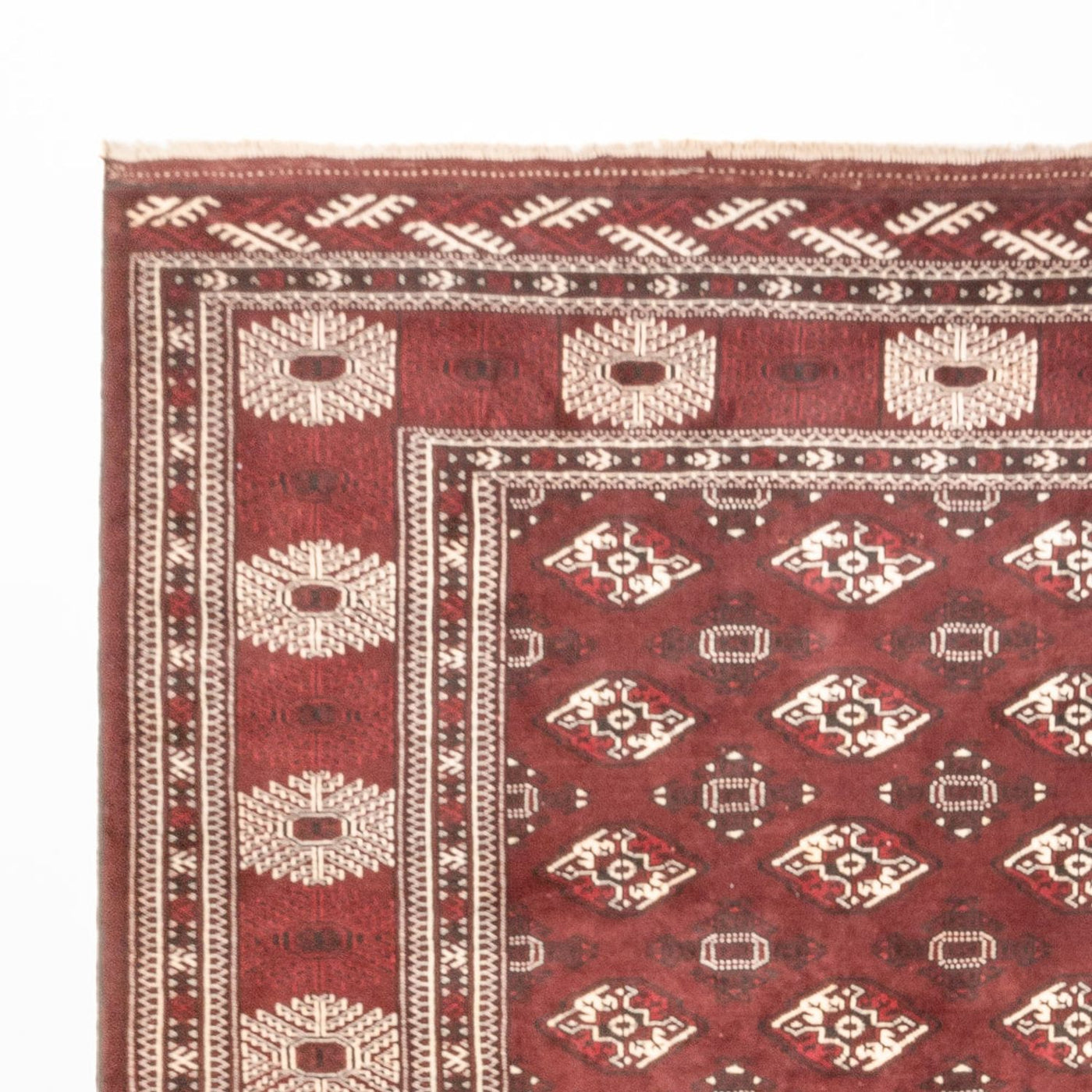 Turkaman Rug 380x260cm - Persian Rugs