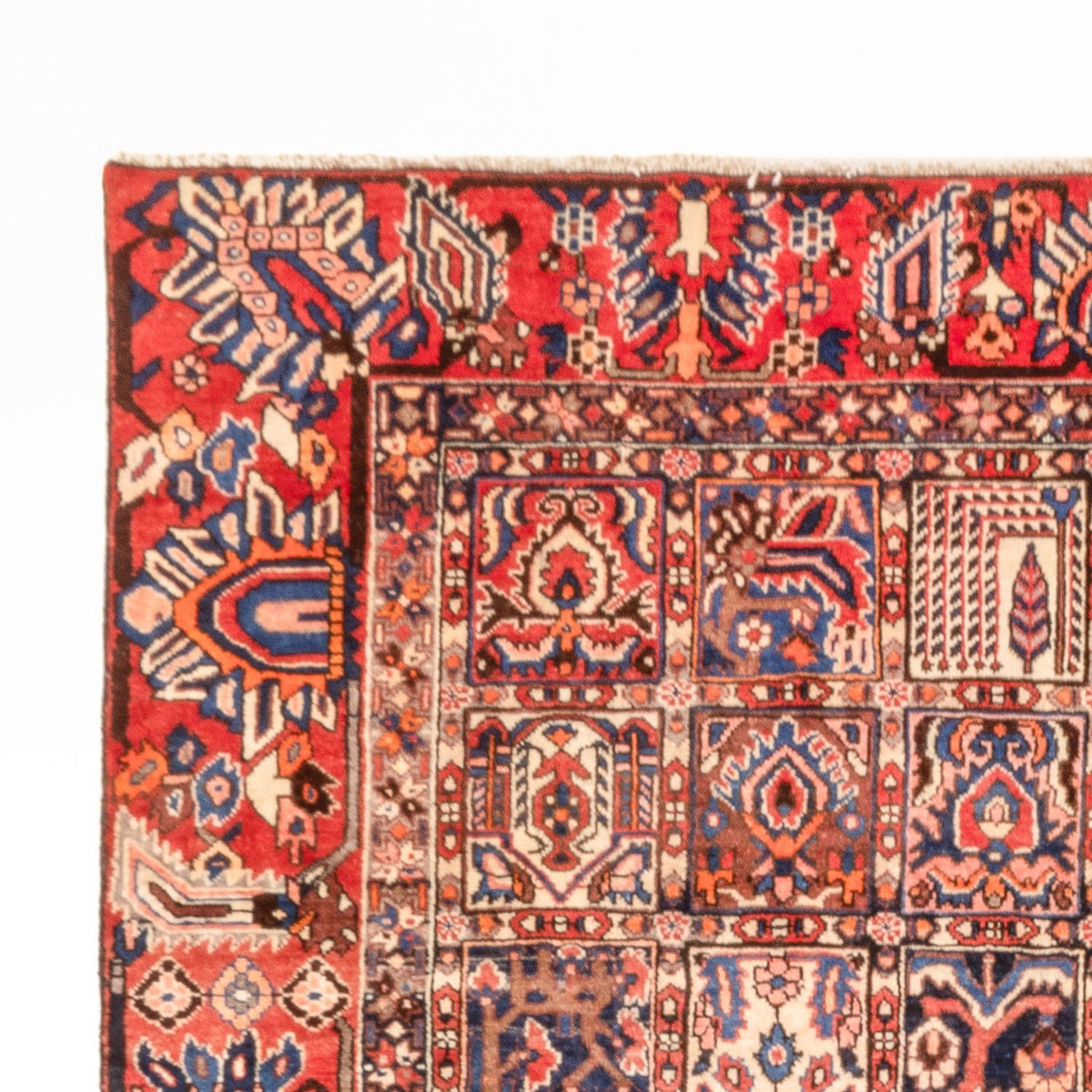 Perser Rug - Nomadic - 340 x 250 cm - multicolored