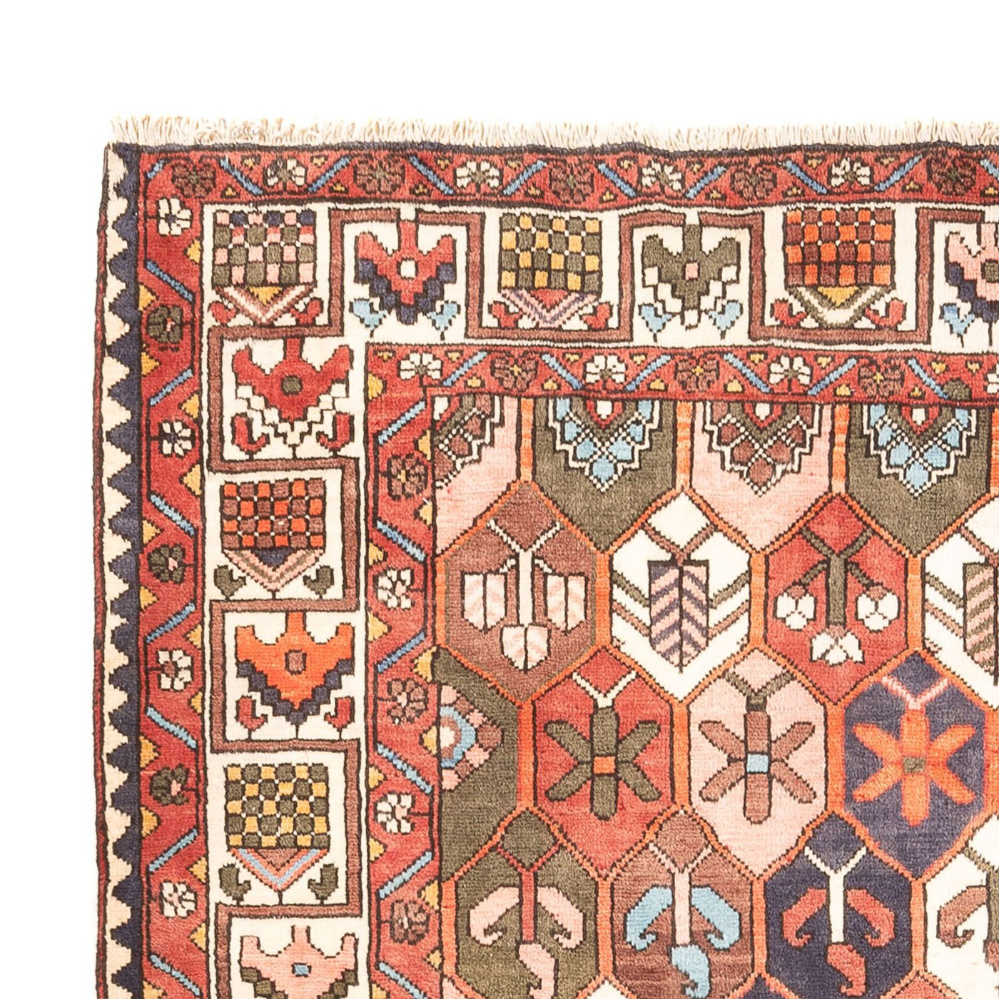 Bakhtiari Rug 305x215cm - Persian Rugs