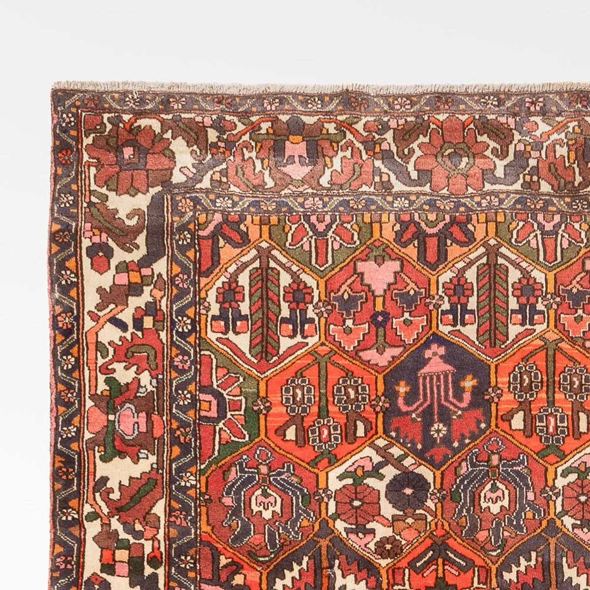 Bakhtiari Rug 210x310cm - Persian Rugs