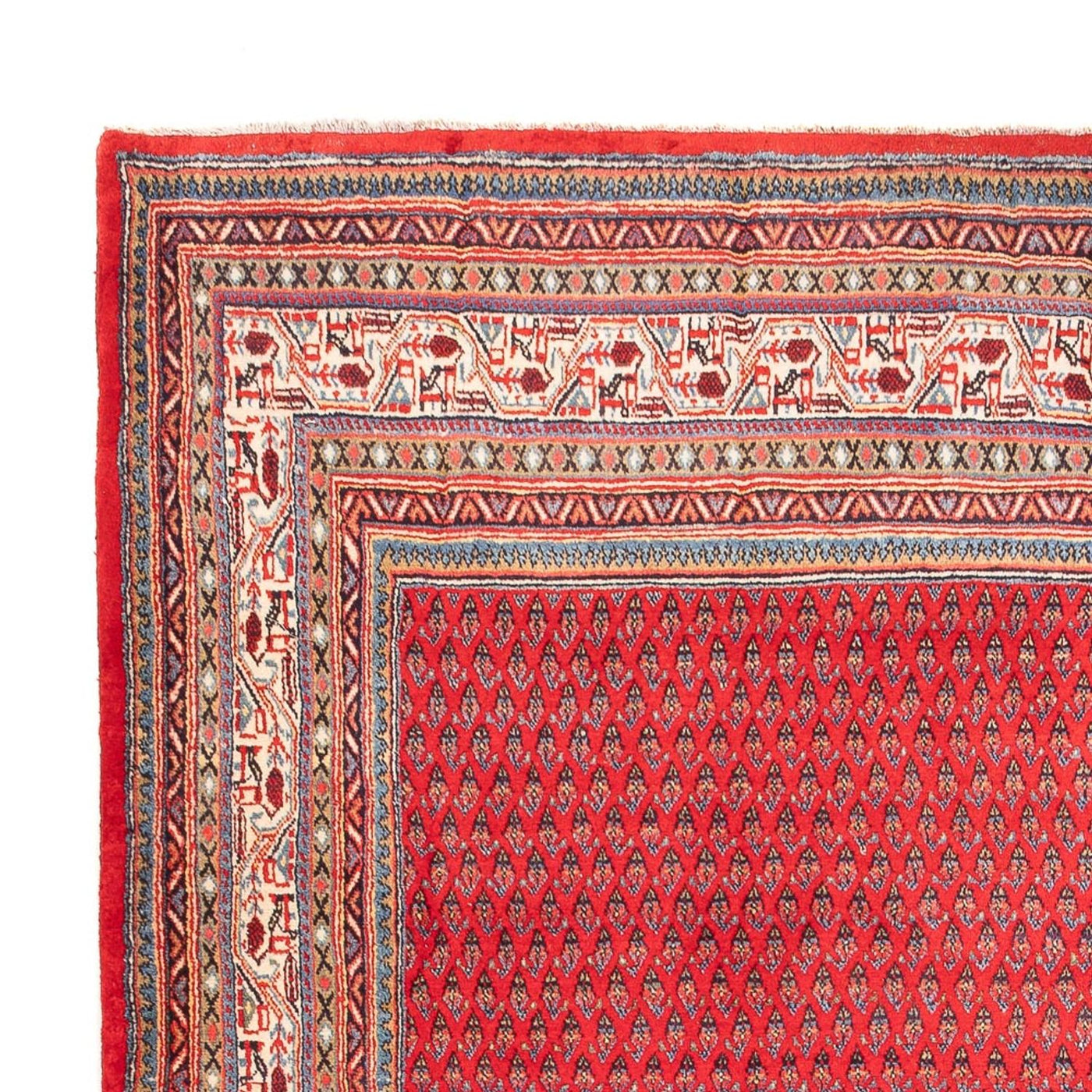 Mir Rug 320x217cm - Persian Rugs