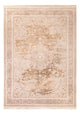 Oriental Woven Rug 250x350cm