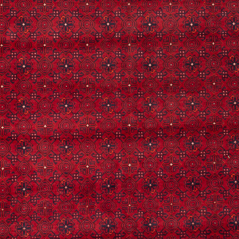 Bukhara Rug 294x195cm - Oriental Rug