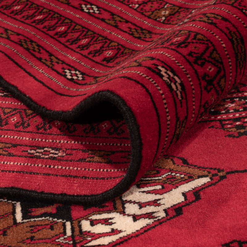 Afghan Rug - Bukhara - 382 x 300 cm - red