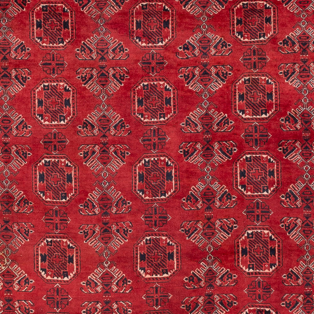 Afghan Rug - 275 x 203 cm - red