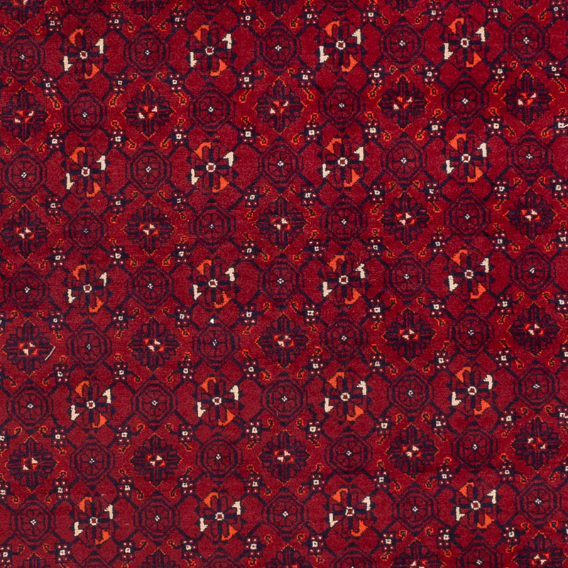 Afghan Rug - Bukhara - 289 x 208 cm - red
