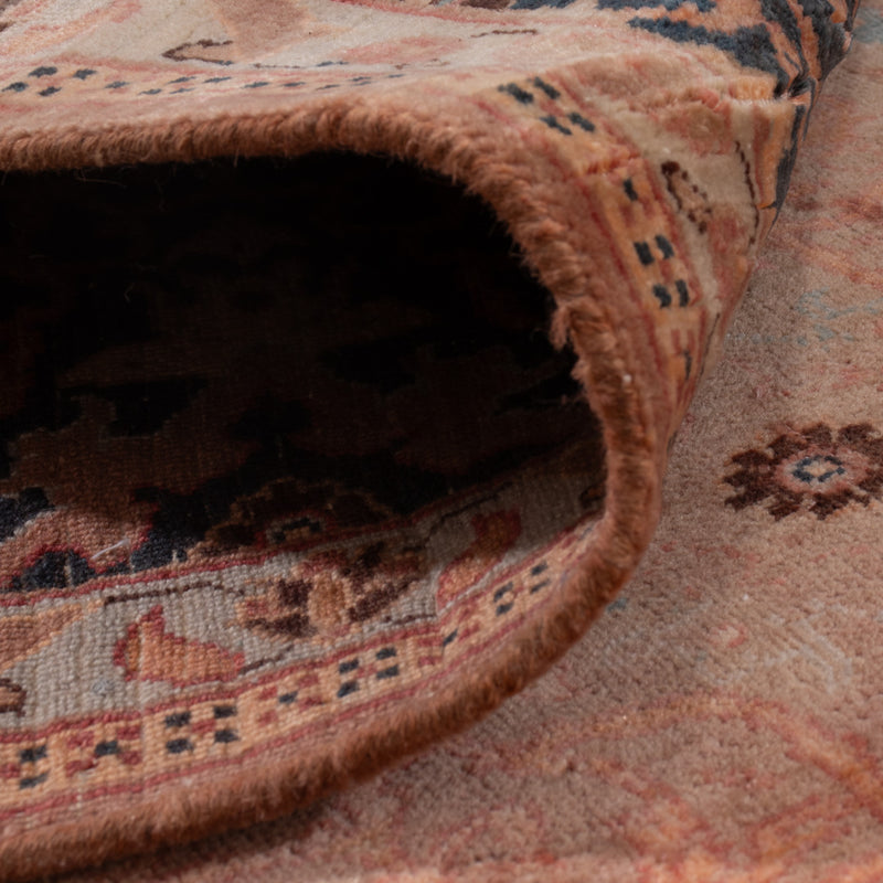 Ariana Rug 276x207cm - Oriental Rug