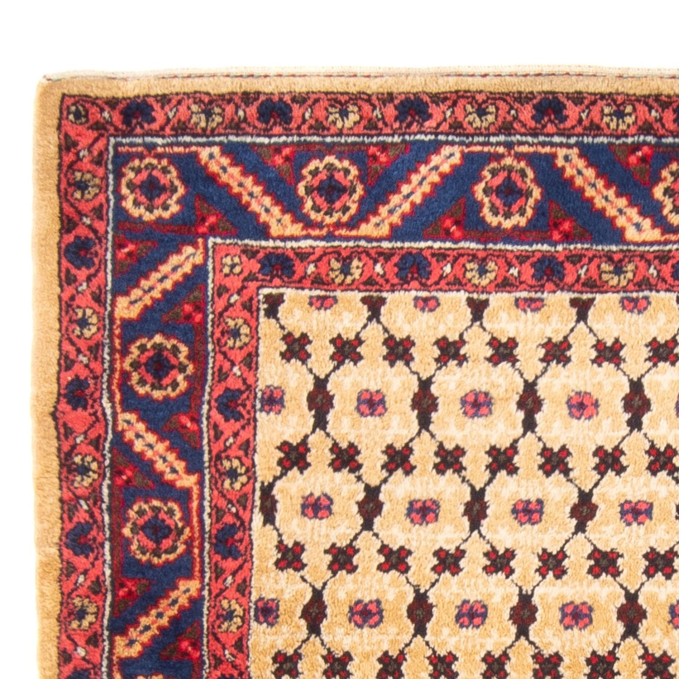 Kolyai Rug 147x131cm - Persian Rugs