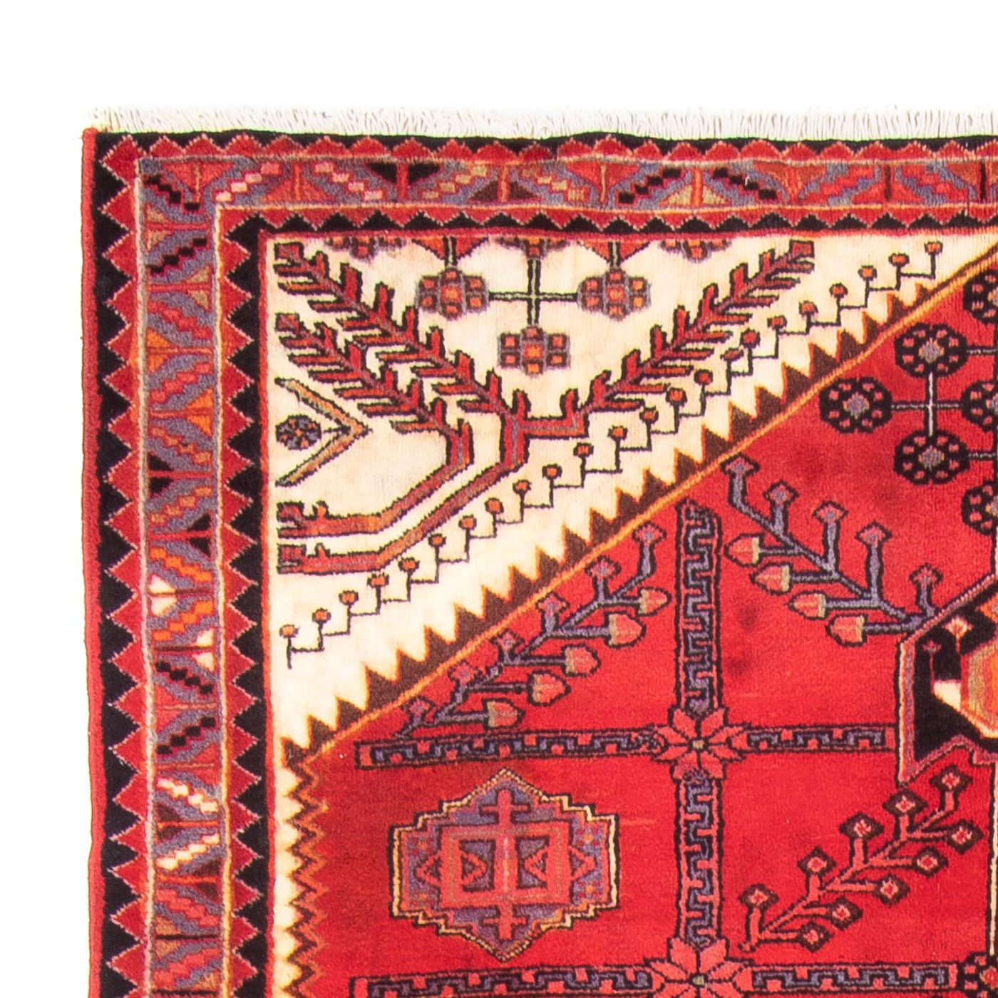 Hosseinabad Rug 317x156cm - Persian Rugs