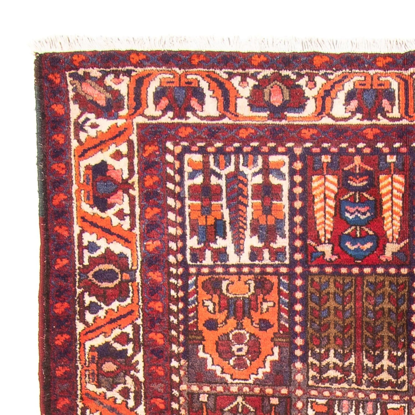 Bakhtiari Rug 290x158cm - Persian Rugs