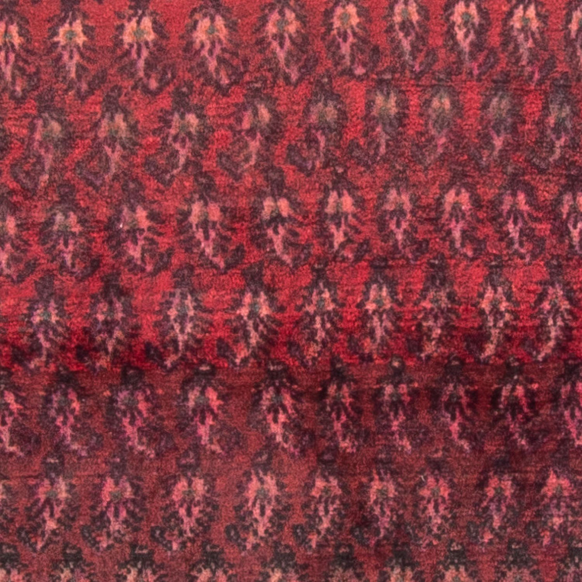 Perser Rug - Nomadic - 150 x 140 cm - red