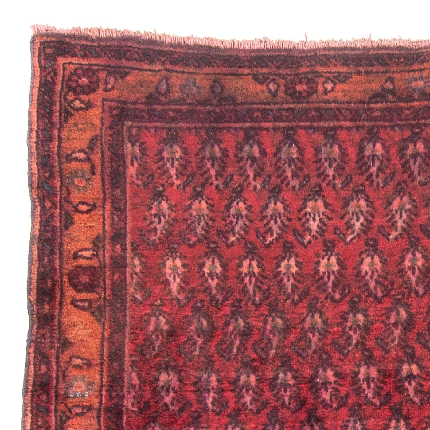 Hamadan Rug 150x140cm - Persian Rugs