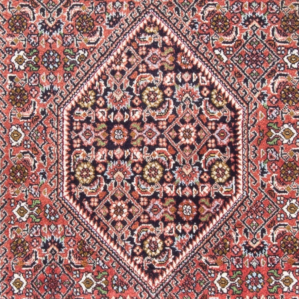 Perser Rug - Bidjar - 150 x 85 cm - red