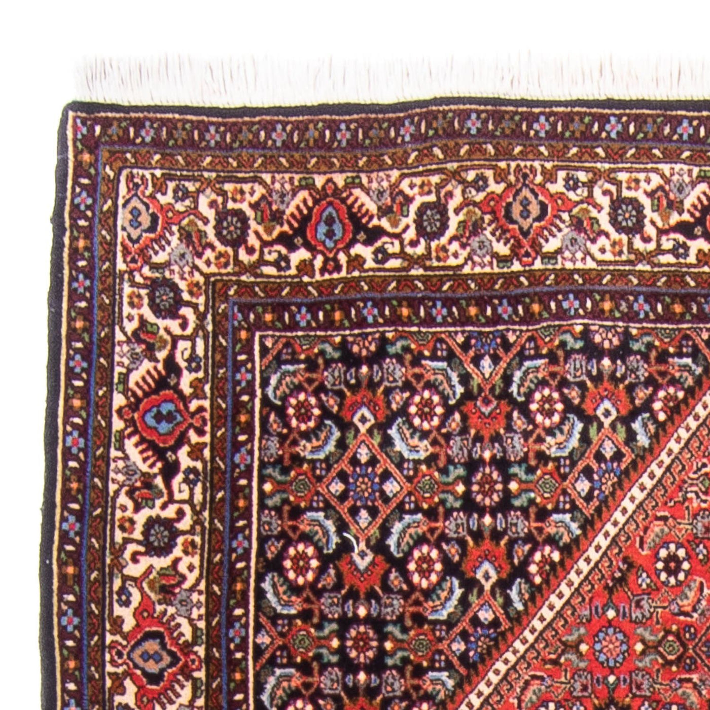 Bidjar Rug 170x114cm - Persian Rugs