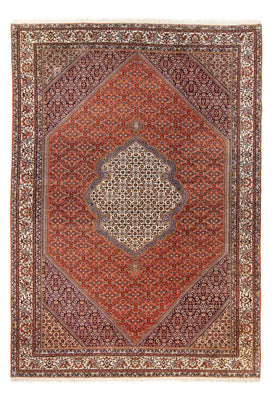 Perser Rug - Bidjar - 312 x 205 cm - orange