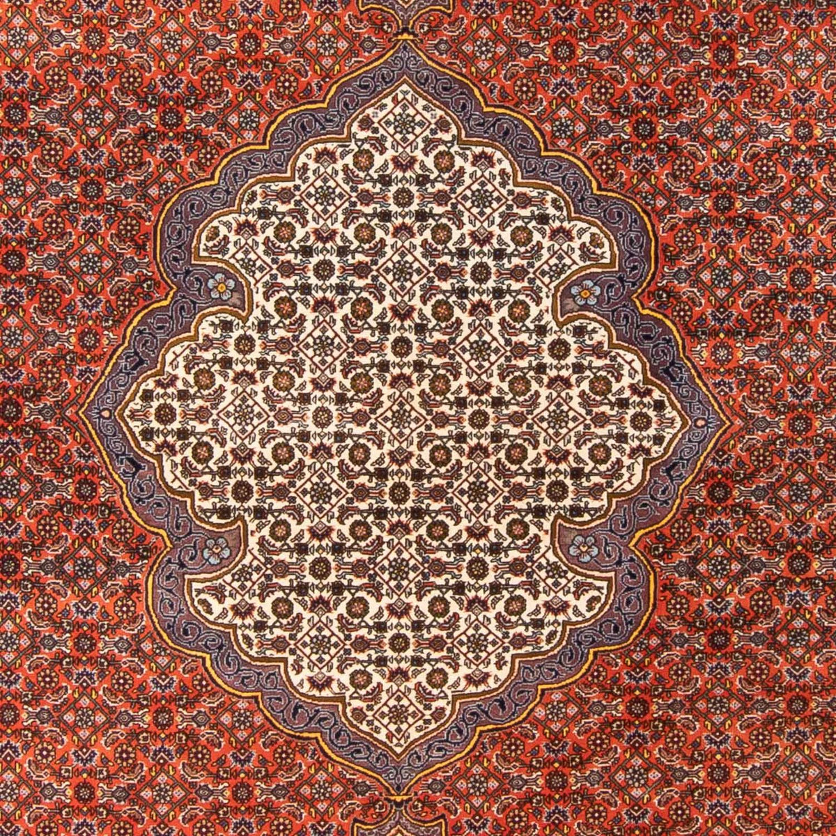 Perser Rug - Bidjar - 312 x 205 cm - orange