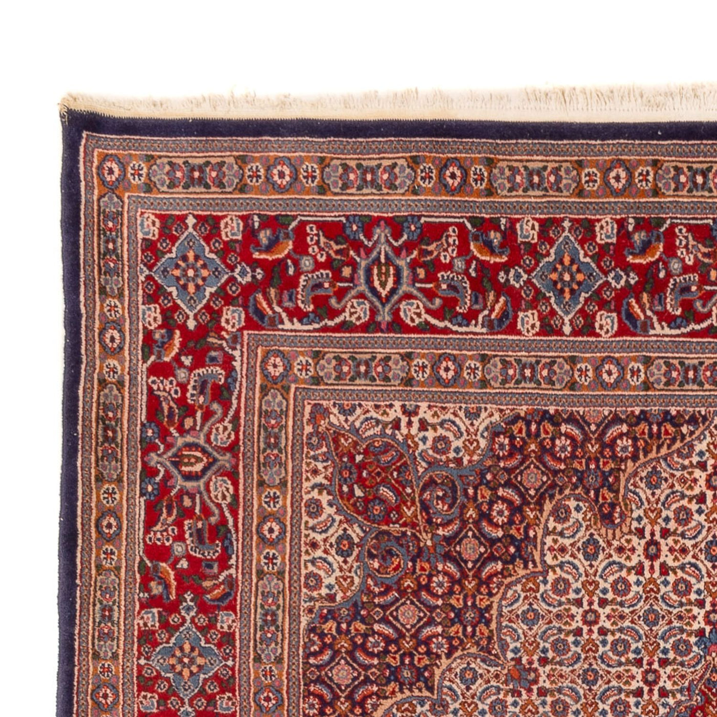 Moud Rug 303x210cm - Persian Rugs