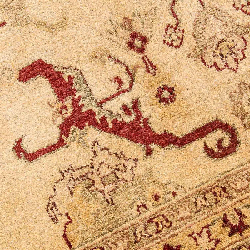 Ziegler Rug - 391 x 281 cm - beige